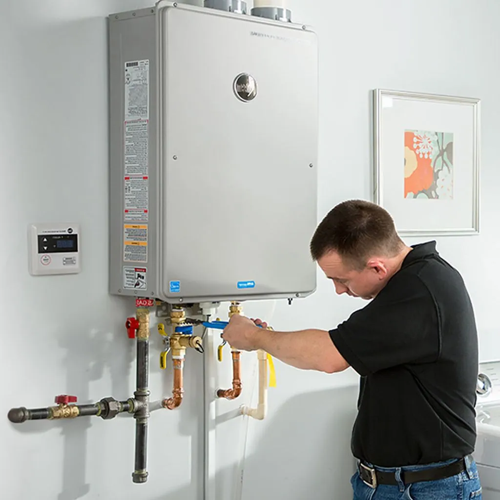 tankless water heater repair in Paloma, IL